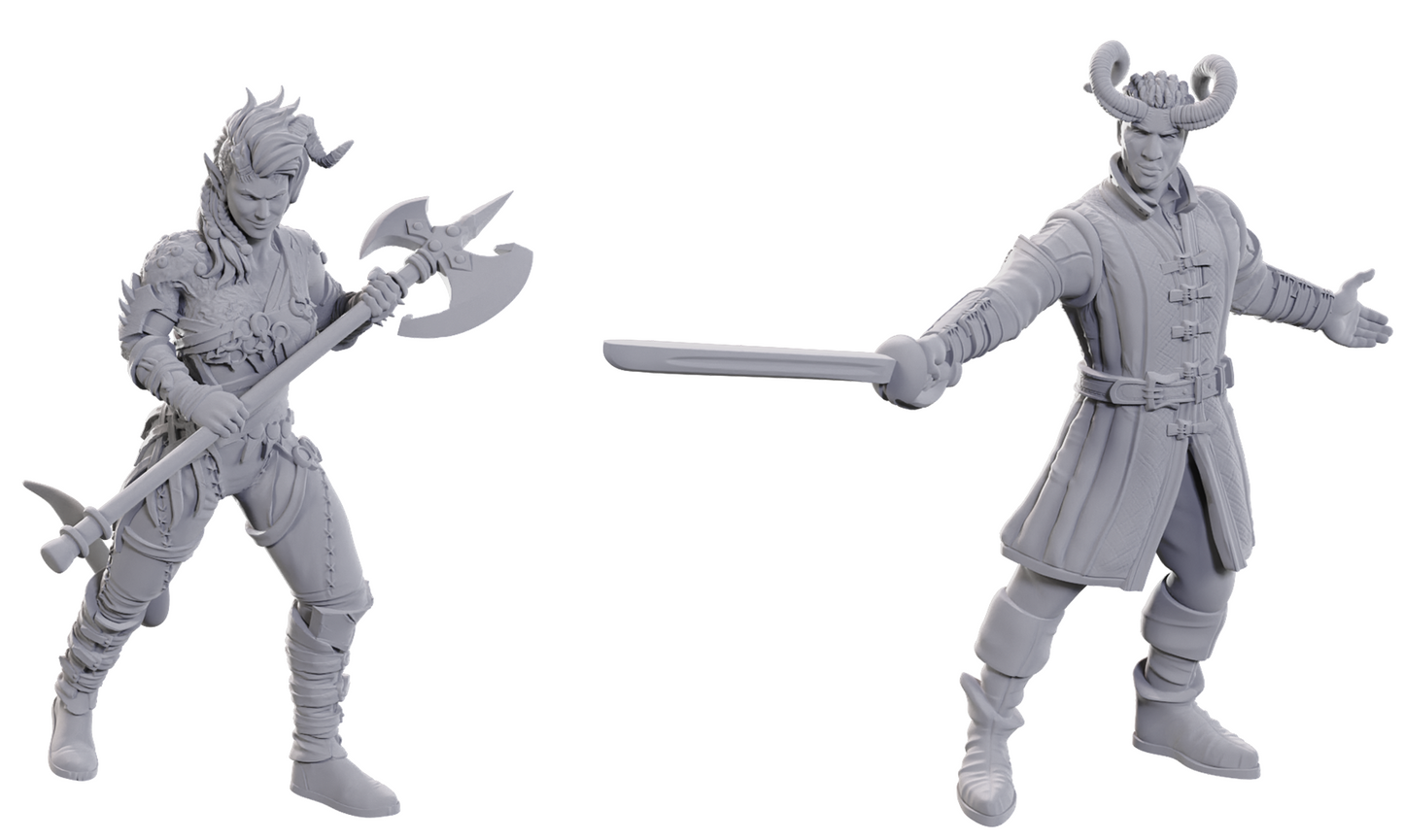 D&D Special Edition Baldur's Gate 3 - Unpainted Minis - Wyll & Karlach